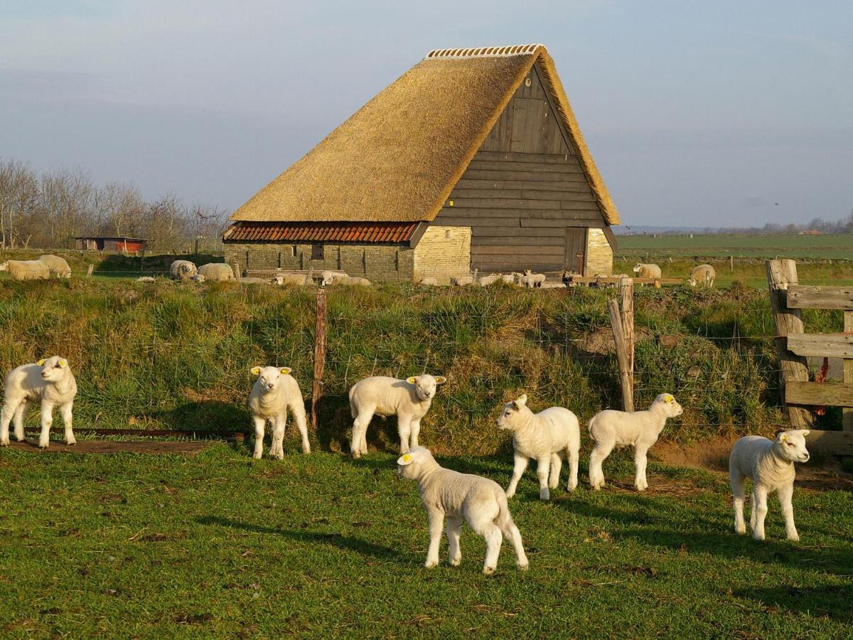 Fantastic Bungalow On Texel De Cocksdorp  Dış mekan fotoğraf